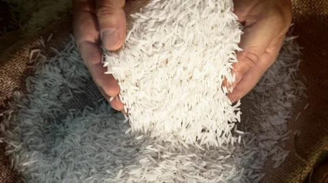 Unprocessed rice being poured from a man's hands Stock Footage 51438526