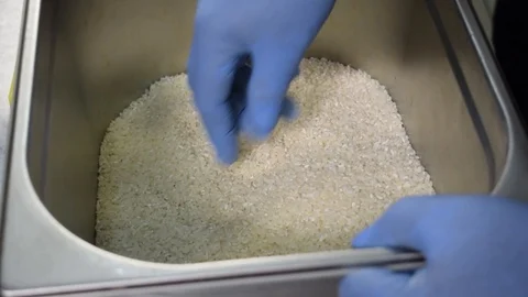 Unprocessed rice being poured from a man's hands. hand picks raw rice Stock Footage 114494555