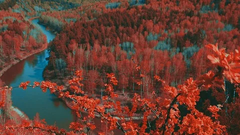 Unreal landscape Stock Footage 108607684