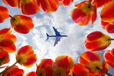 Unrecognizable airplane 库存照片