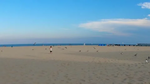 Unrecognizable child running on a sandy beach surrounded by seagulls on a sun Stock Footage 324874315