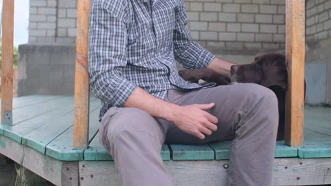 Unrecognizable country man pet the chocolate labrador on the wooden terrace Stock Footage 190830664