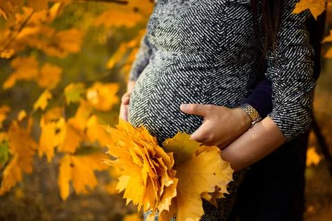 Unrecognizable  Couple, pregnant woman and her husband hugging belly on natur Stock Photos