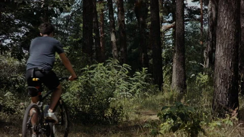 Unrecognizable Cyclist Riding Bicycle in Forest, Summer Sports Scene Stock Footage 135809826