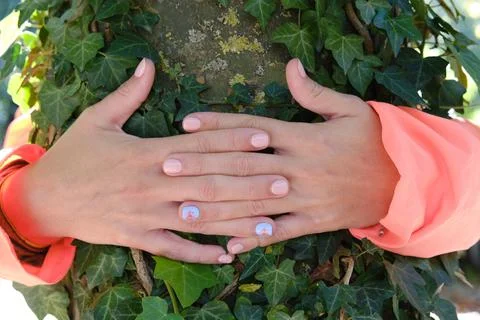 Unrecognizable environmentalist hands embracing a tree - ecology and Stock Photos