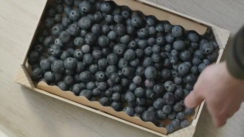 Unrecognizable farmer putting down wooden box packed with ripe blueberries .. Stock Footage 336807490