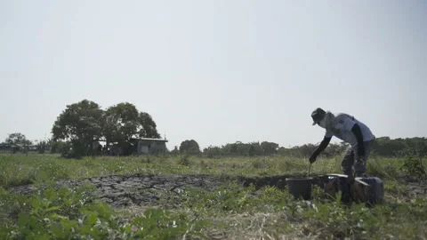Unrecognizable farmer watering the fields in Laguna, Philippines Stock Footage 229719004