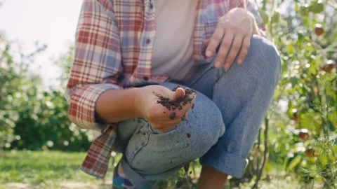 Unrecognizable gardener checking the soil quality Video stock 249055612