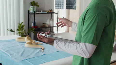 Unrecognizable Herpetologist Writing in Document during Consultation with Snake Stock Footage 302232627