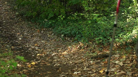 Unrecognizable hiker Walking down in woods Stock Footage 35842245