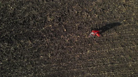 Unrecognizable hunter with orange cap and vest walks across field Video stock 262762980