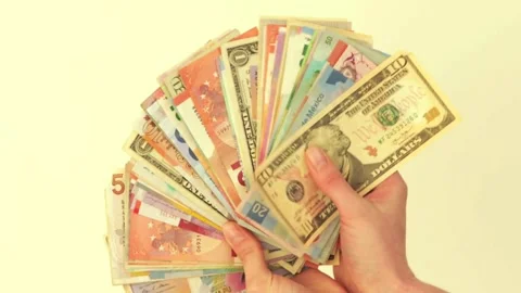 Unrecognizable lady counting various money banknotes in hands, money payment Stock-Footage 336261872