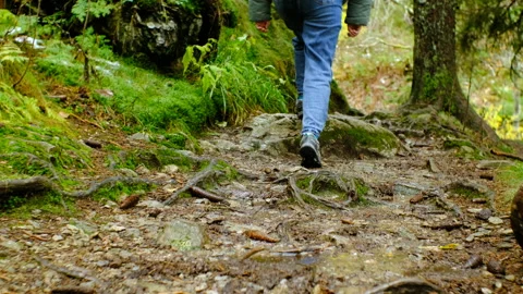 Unrecognizable legs walking along forest trail, close-up tracking shot Vídeos de archivo 322807959