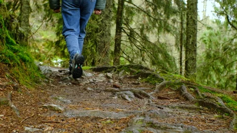 Unrecognizable legs walking along forest trail, close-up tracking shot Stock Footage 322809143