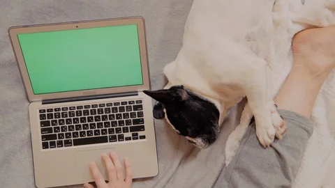 Unrecognizable male typing on computer at home Stock Footage 125947193