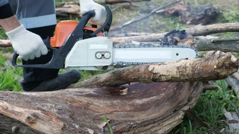 Unrecognizable man chainsaw cuts dry trees Stock Footage 132797489