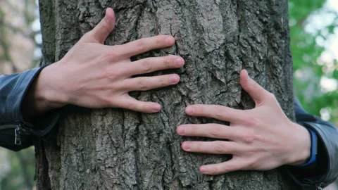 Unrecognizable man hugs a big tree. Concept: urbanization, environmental protect Stock Footage 154121707