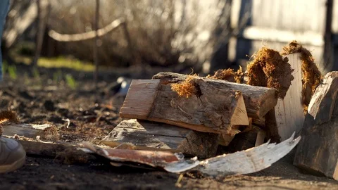 Unrecognizable man sorting firewood for a fire. Worker prepares firewood in the Stock Footage 115123136