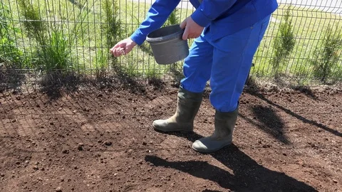 Unrecognizable man spread sow grass on fertile soil in apartment yard. Handheld Stock Footage 127015902