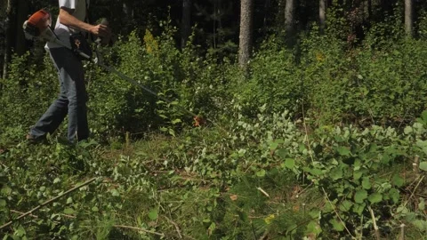 Unrecognizable Man working in Forest with Clearing Saw, Wide Shot Vídeos de archivo 220643551