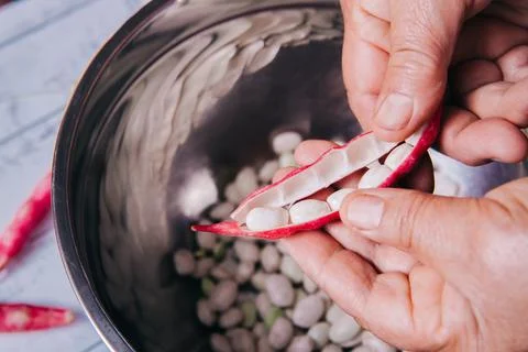 Unrecognizable man's hands holding a shell full of white beans Stock Photos