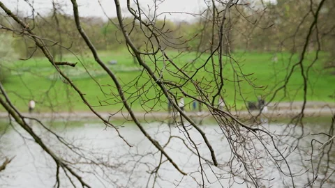 Unrecognizable people, in blurry background, are walking in Sefton park Stock Footage 304882477