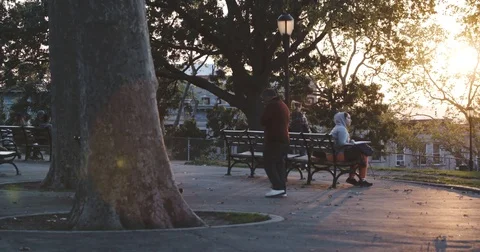 Unrecognizable people on a park bench during the summer of 2016 in 4k Stock Footage 70295040