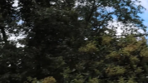 Unrecognizable person goes zip-lining and passes between trees 動画素材 290034080