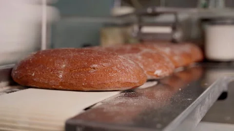 Unrecognizable person put bread on conveyor belt closeup Stock Footage 250257408