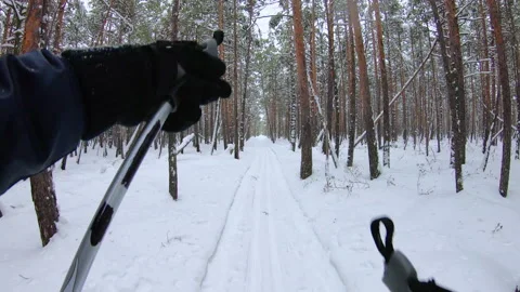 Unrecognizable skiers walking in forest. First-person view Stock Footage 201558820