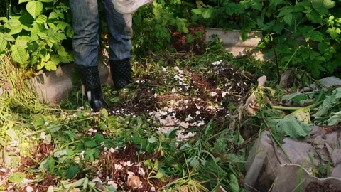 Unrecognizable woman throws egg shell into compost heap in backyard. Stock Footage 149362482