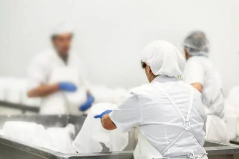 Unrecognizable workers in a food processing plant. Cheese dairy production Stock Photos