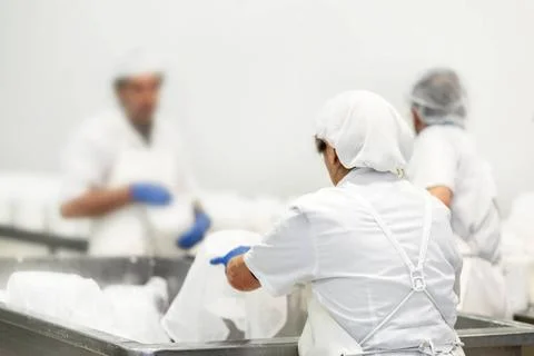 Unrecognizable workers in a food processing plant. Cheese dairy production... Stock Photos