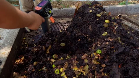 Unrecognizable Workers Measuring Organic Waste Compost Pile with Thermal Stock Footage 346616989