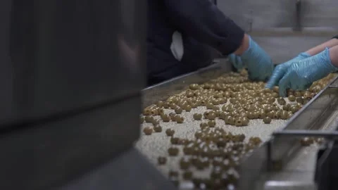 Unrecognizable workers selecting the product on a conveyor belt in an olive f Stock Footage 168643178