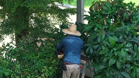 Unrecognized gardener cutting tree branches with tree trimming machine. 库存影片 251303893