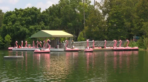 Unrecognized People on Paddle Boats at Theme Park Video stock 23740220