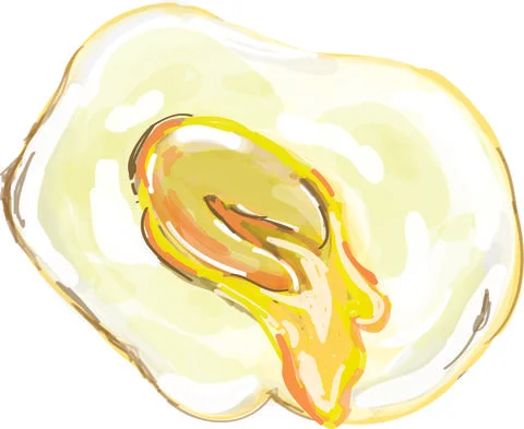 Unripe fried eggs 스톡 일러스트