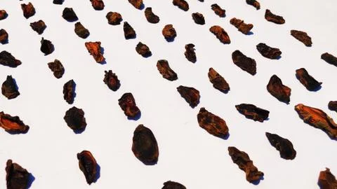 Unripe Small mango cut to dry make powder Stock Photos