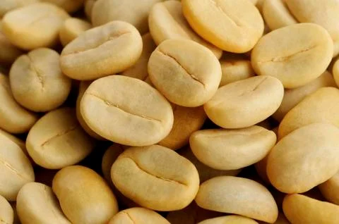 Unroasted coffee bean Stock Photos