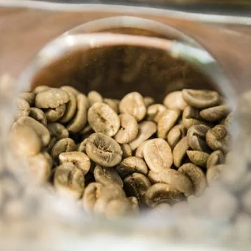 Unroasted coffee beans Stock Photos