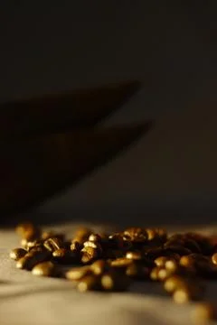 Unroasted coffee beans Stock Photos