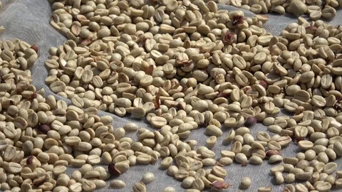 Unroasted coffee beans (zoom out) Stock Footage 82931663