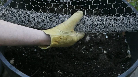 Unrolling chicken wire Stock Footage 39413510