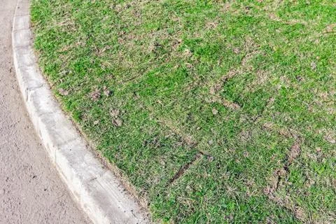 Unrolling grass, applying turf rolls on new lawn Stock Photos
