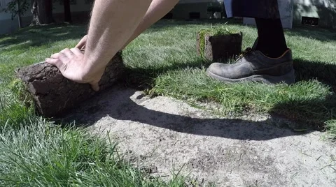Unrolling turf grass and hitting an ax on the grass Stock Footage 62468617