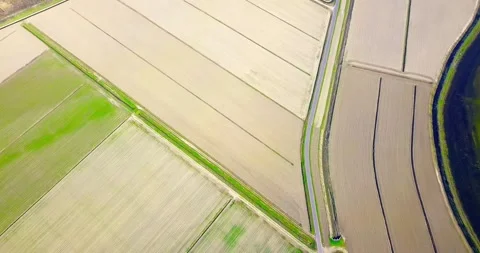 Unseeded plowed fields divided to plots by paths in spring Stock Footage 150662619