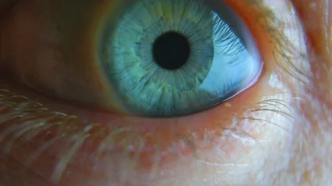 Unsettling Blue Eye Looking Around in and out of Focus Fast Motion Close-up Stock Footage 139895098