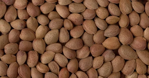 Unshelled almonds nuts background. Stock Footage 282111771