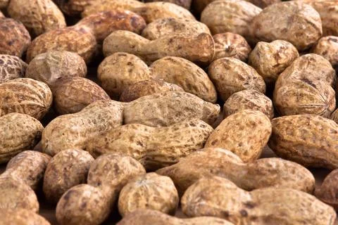 Unshelled peanuts Stock Photos
